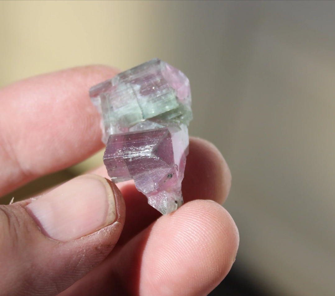 Watermelon Pink and Green Tourmaline
