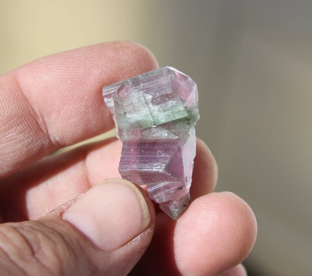 Watermelon Pink and Green Tourmaline