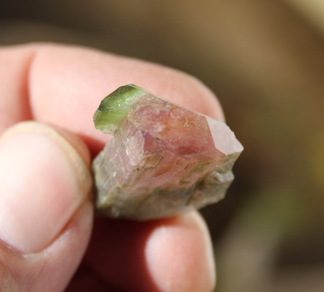 Pink and Green Tourmaline