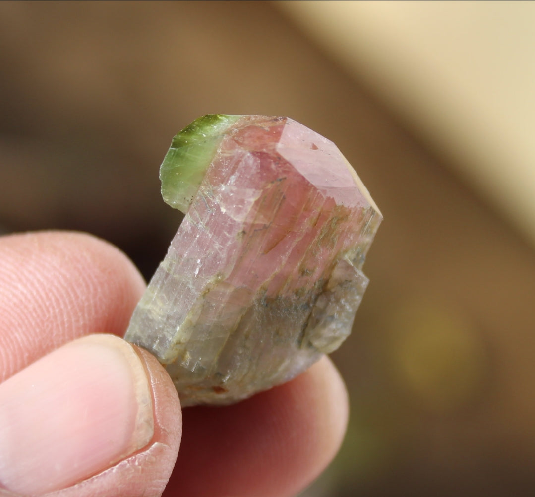 Pink and Green Tourmaline