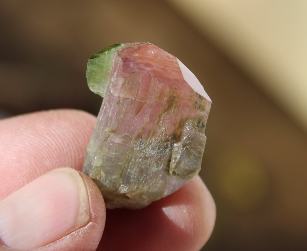 Pink and Green Tourmaline