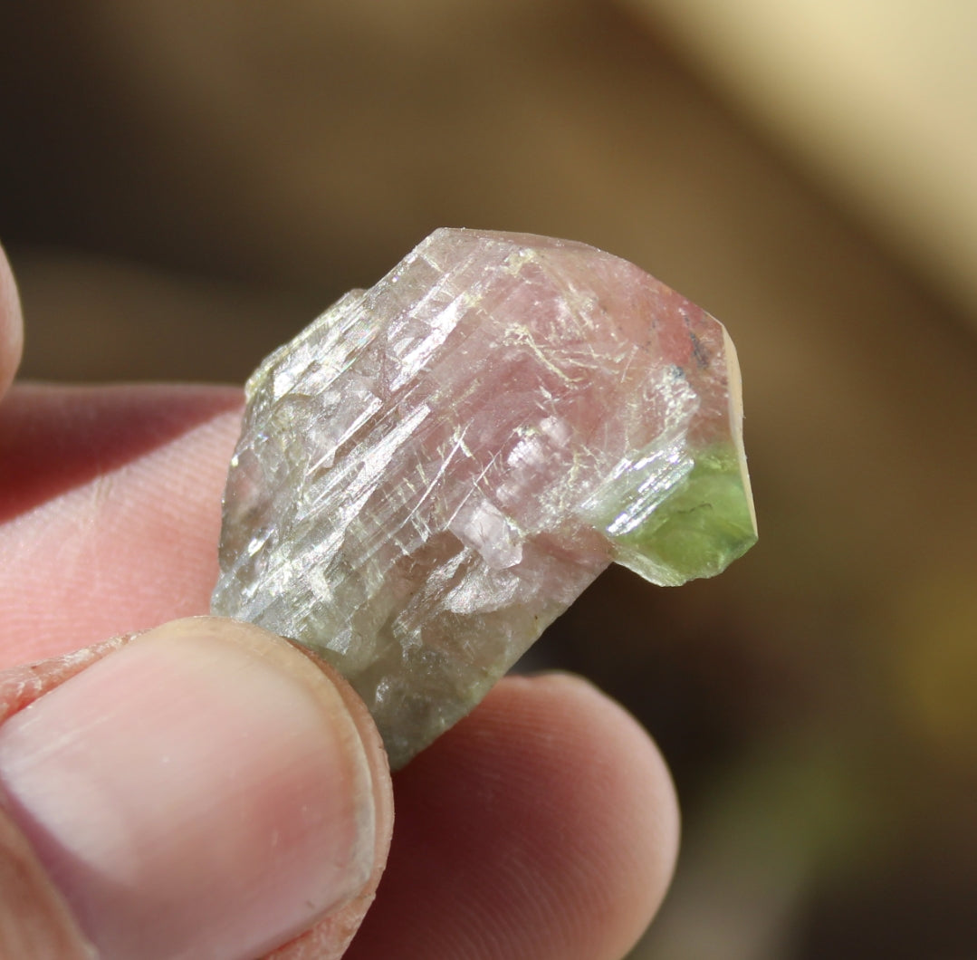 Pink and Green Tourmaline