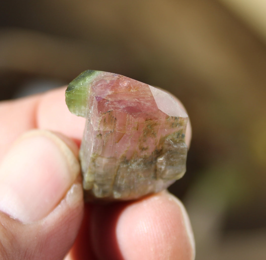Pink and Green Tourmaline