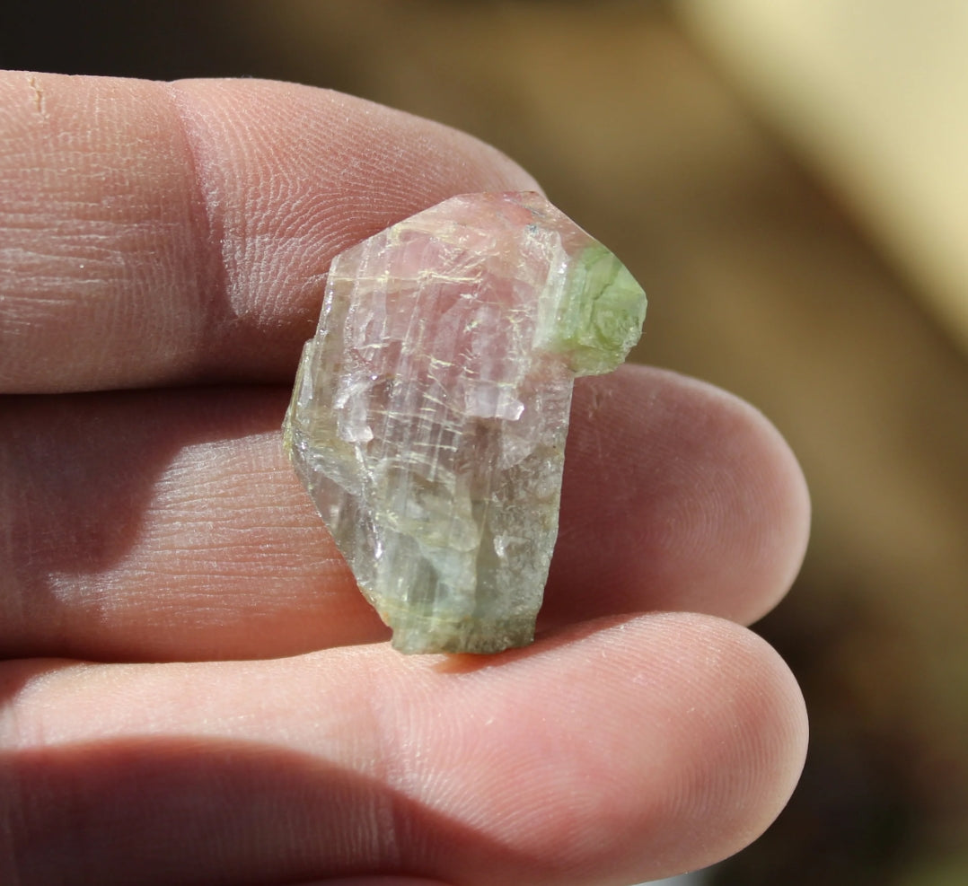 Pink and Green Tourmaline