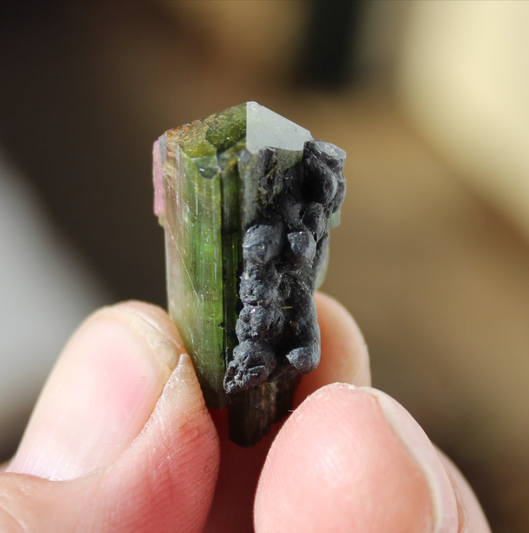 Pink and Green Tourmaline