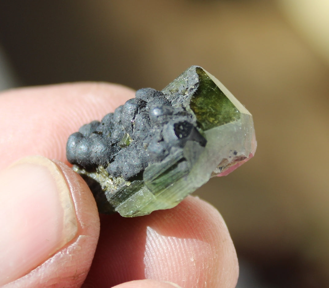 Pink and Green Tourmaline