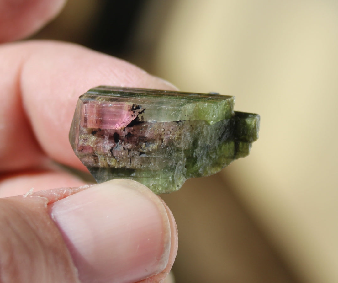 Pink and Green Tourmaline