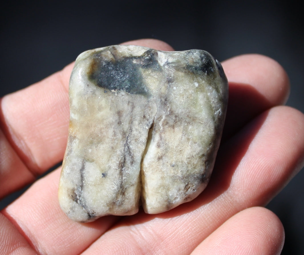 Mount Shasta Vortex Stone