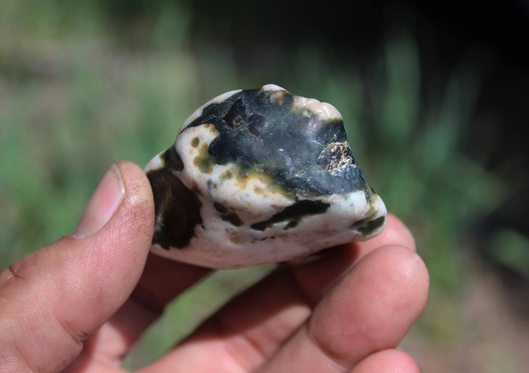 Mount Shasta Vortex Stone