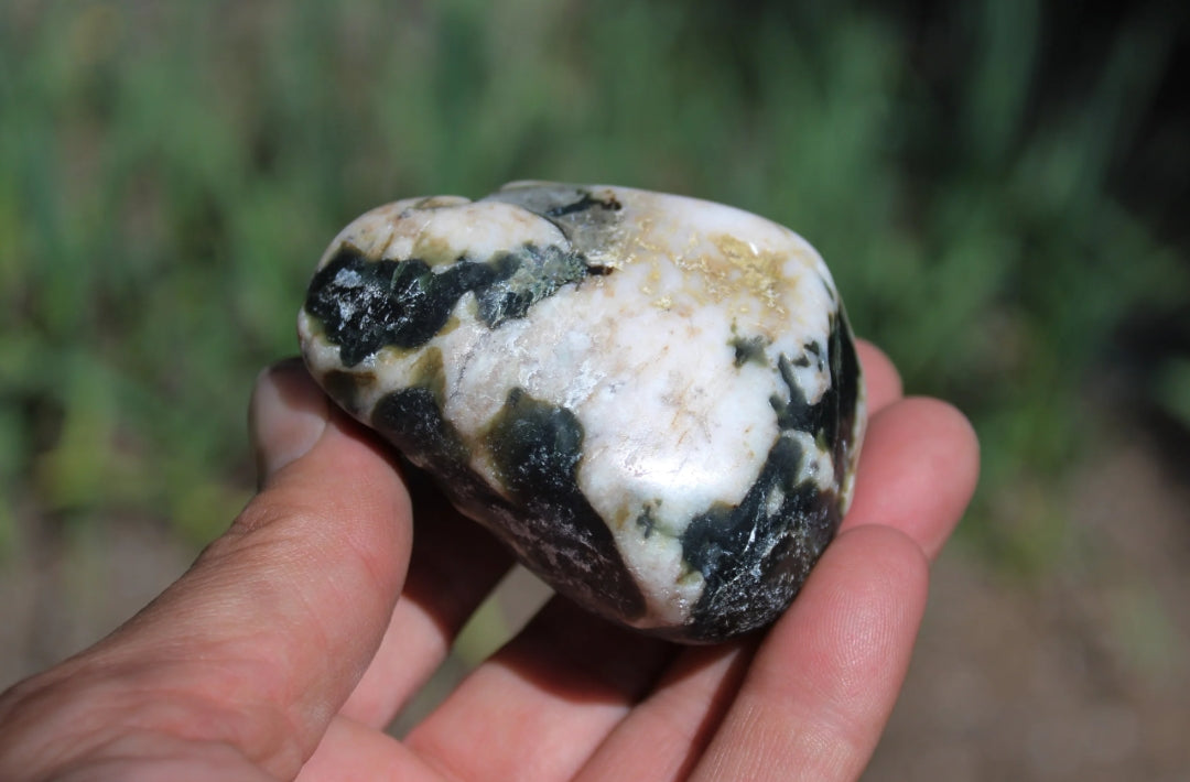 Mount Shasta Vortex Stone