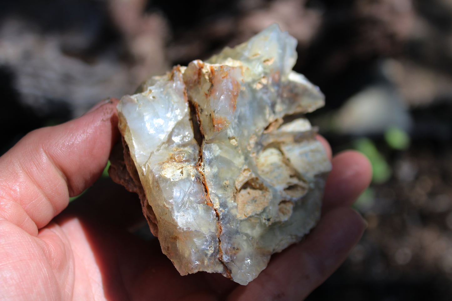 Mount Shasta Opal High Grade
