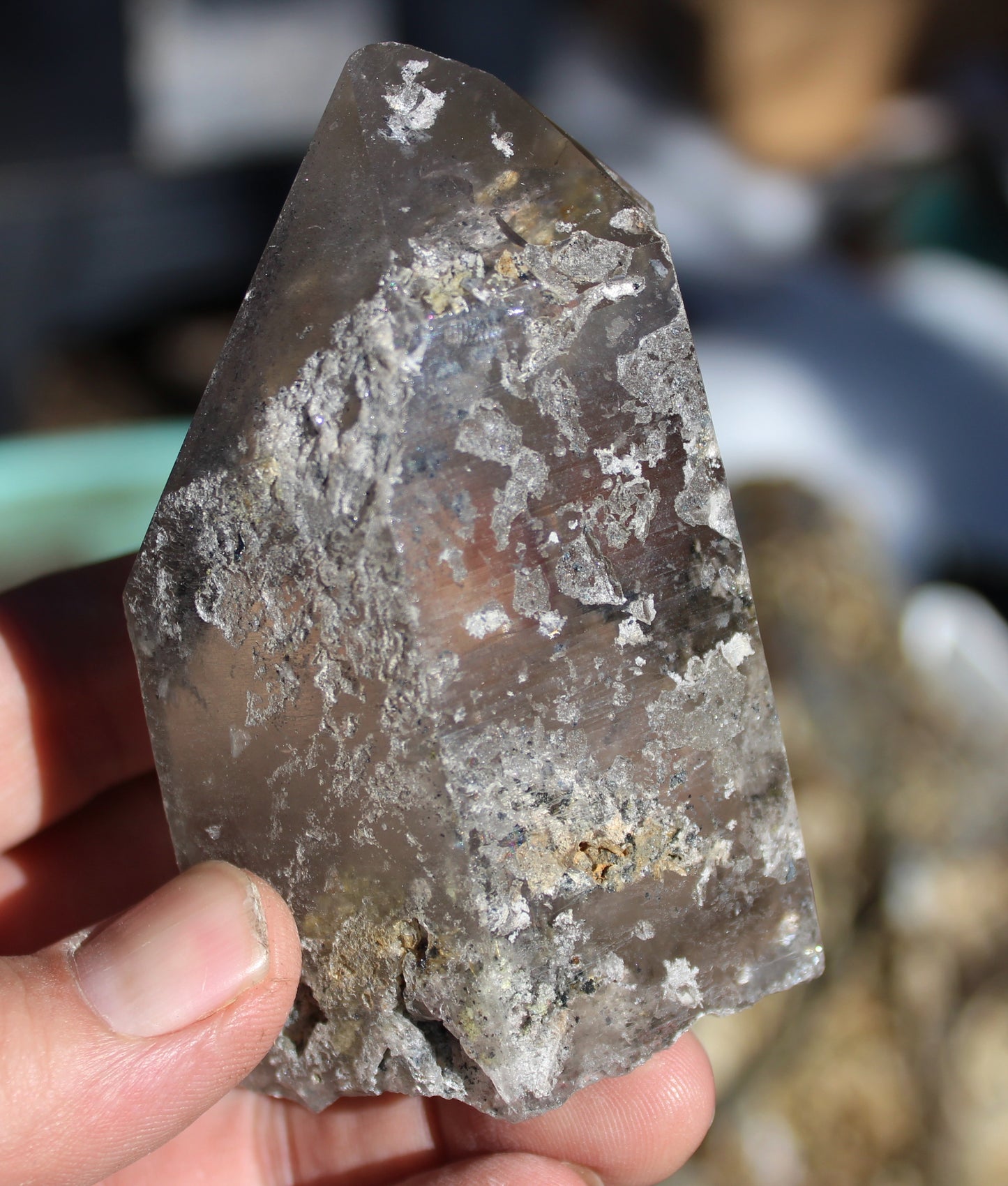 Lodolite Smoky Quartz Crystal with Chlorite