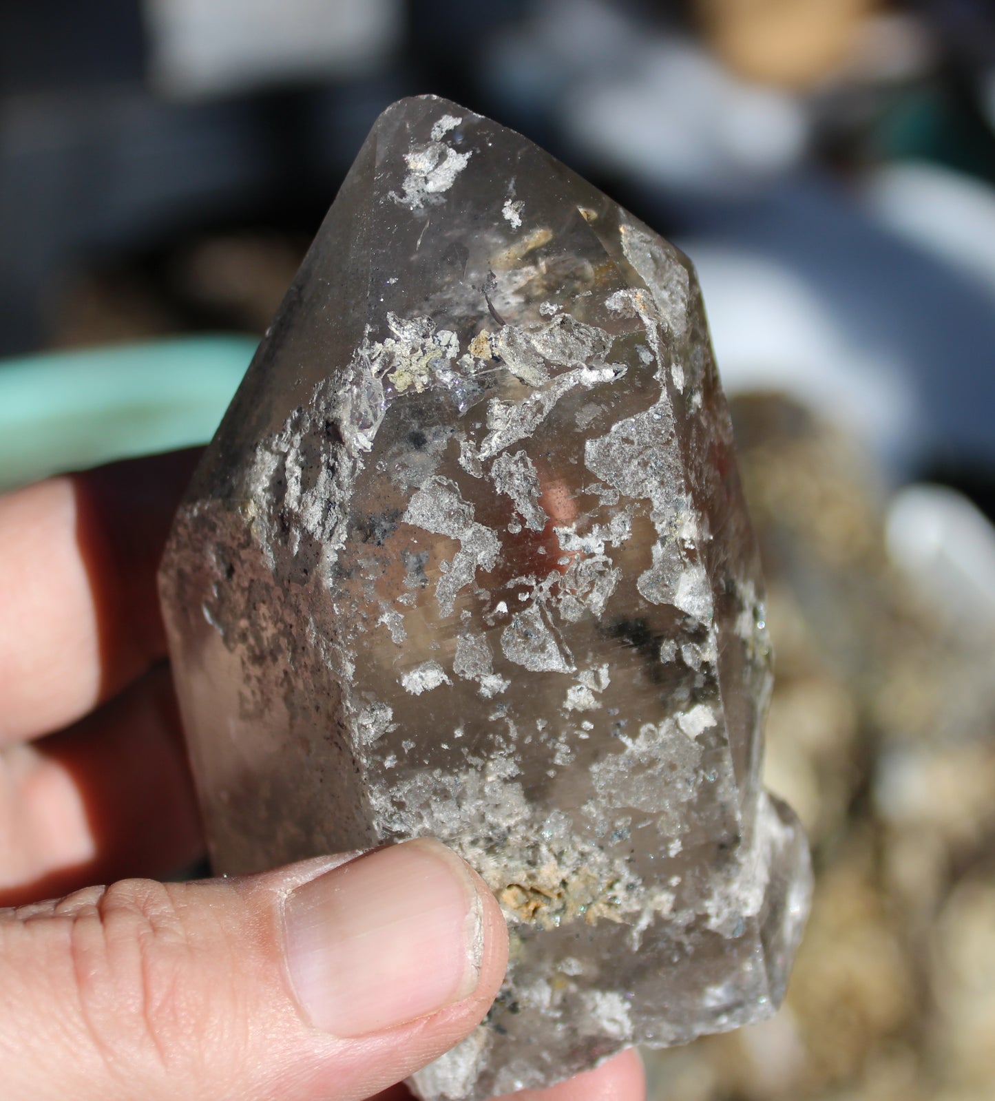 Lodolite Smoky Quartz Crystal with Chlorite