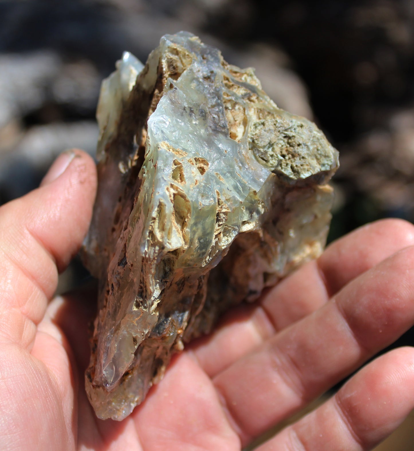 Mount Shasta Opal High Grade