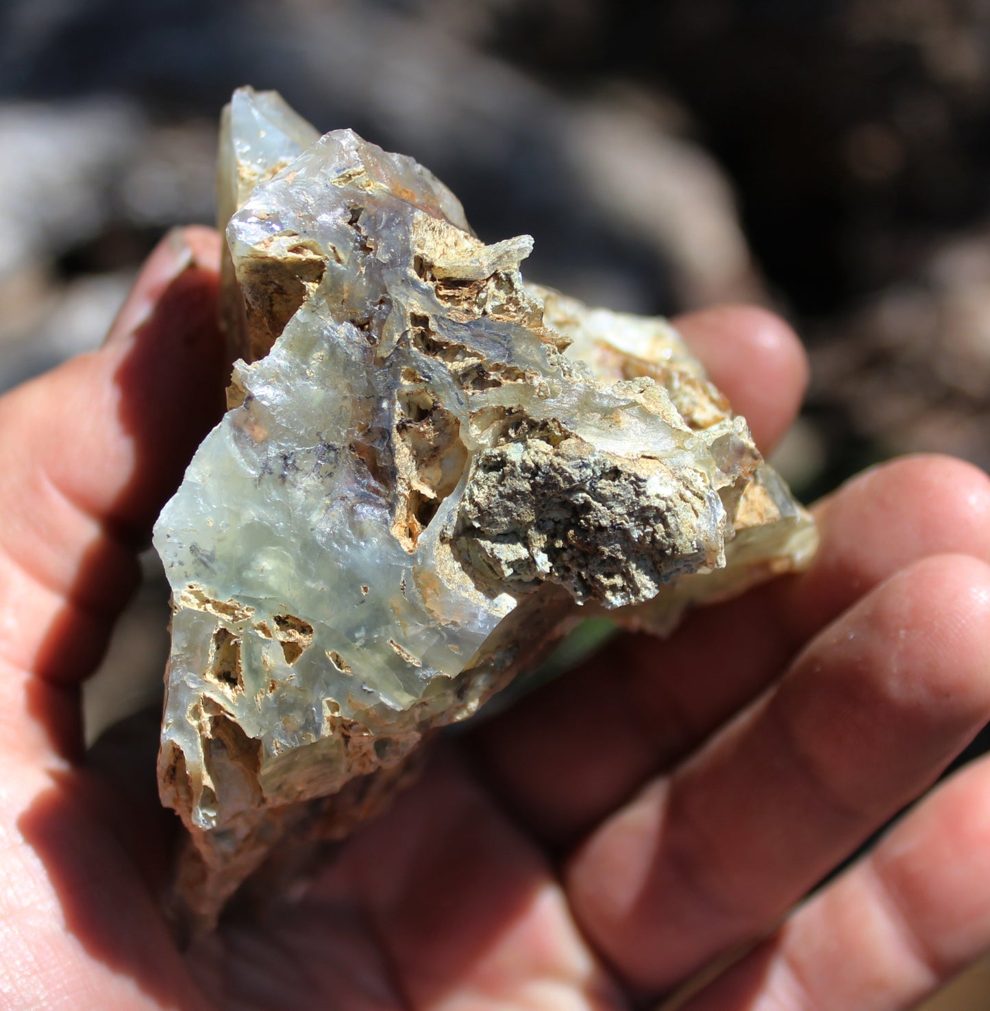 Mount Shasta Opal High Grade