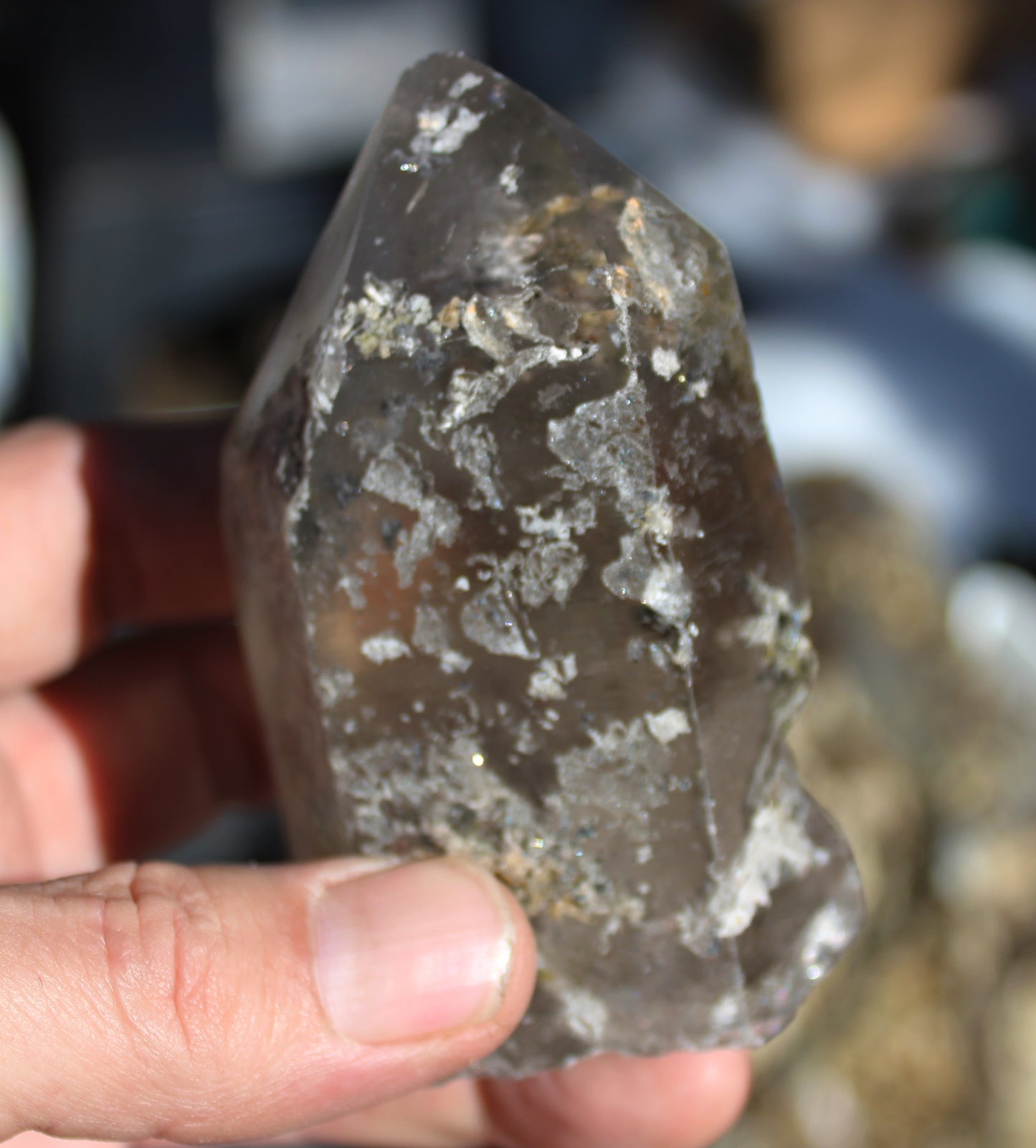 Lodolite Smoky Quartz Crystal with Chlorite