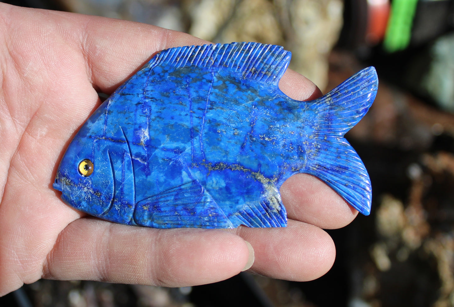Lapis Lazuli Fish