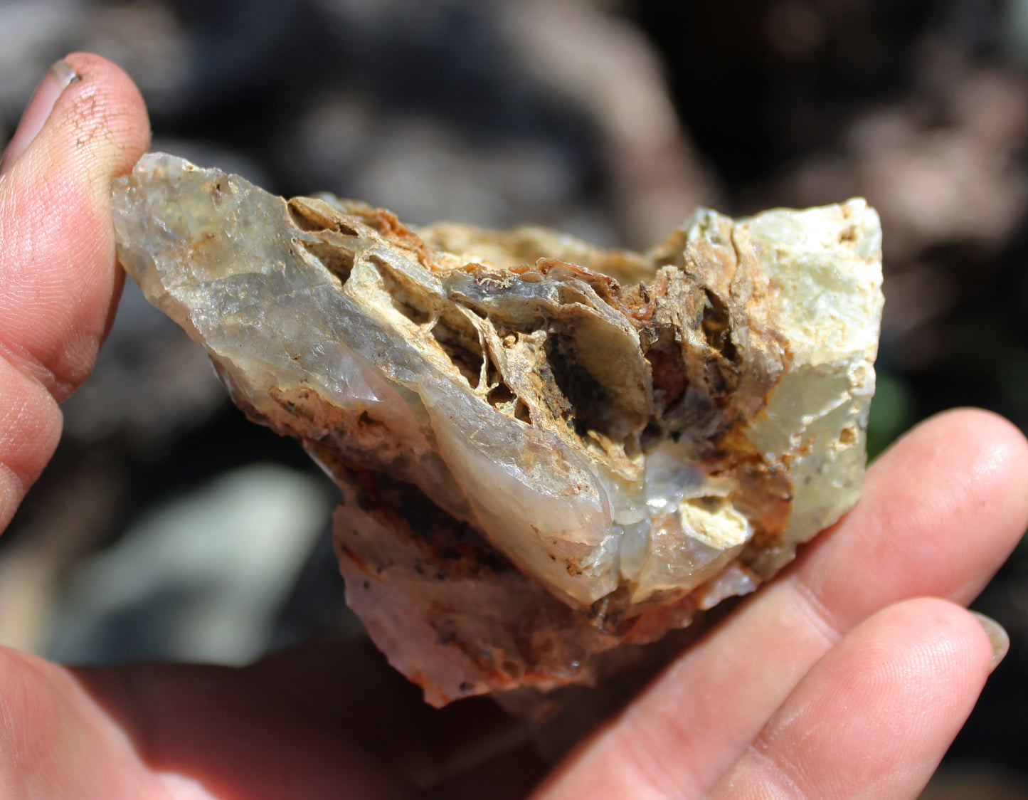 Mount Shasta Opal High Grade