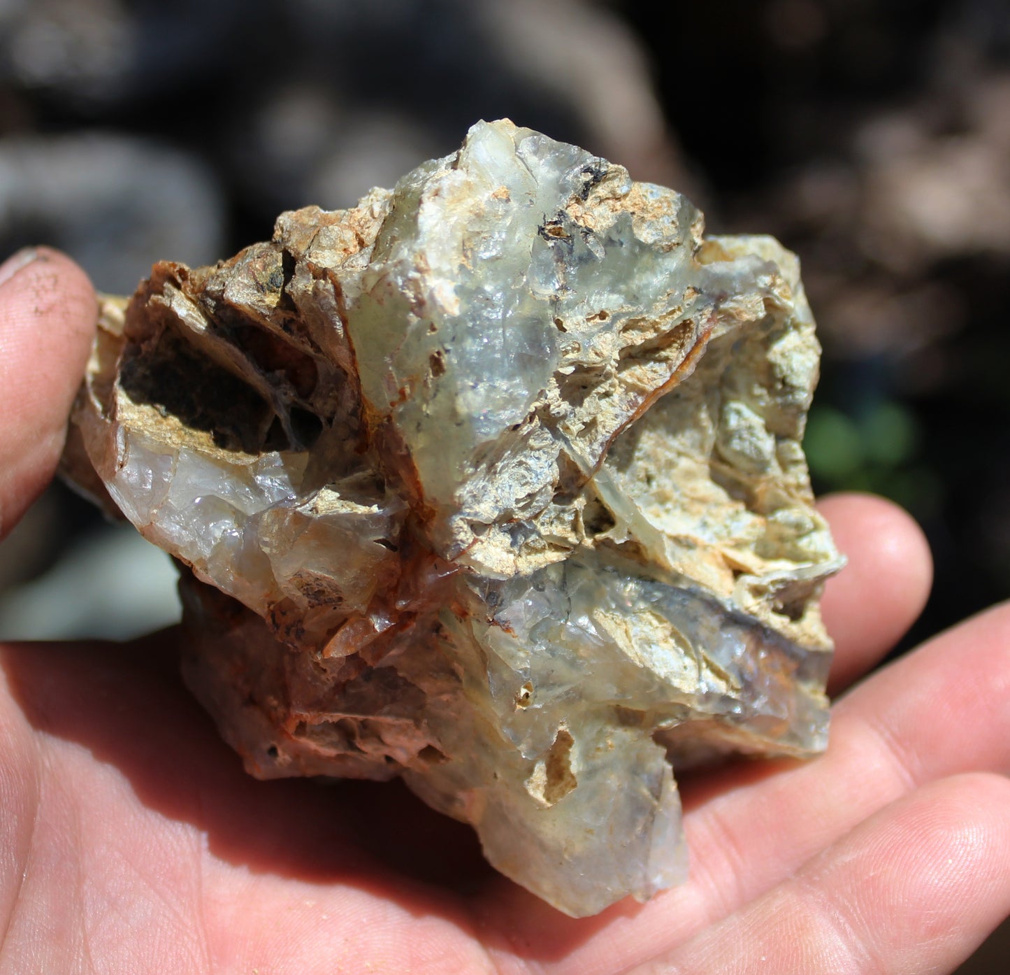 Mount Shasta Opal High Grade