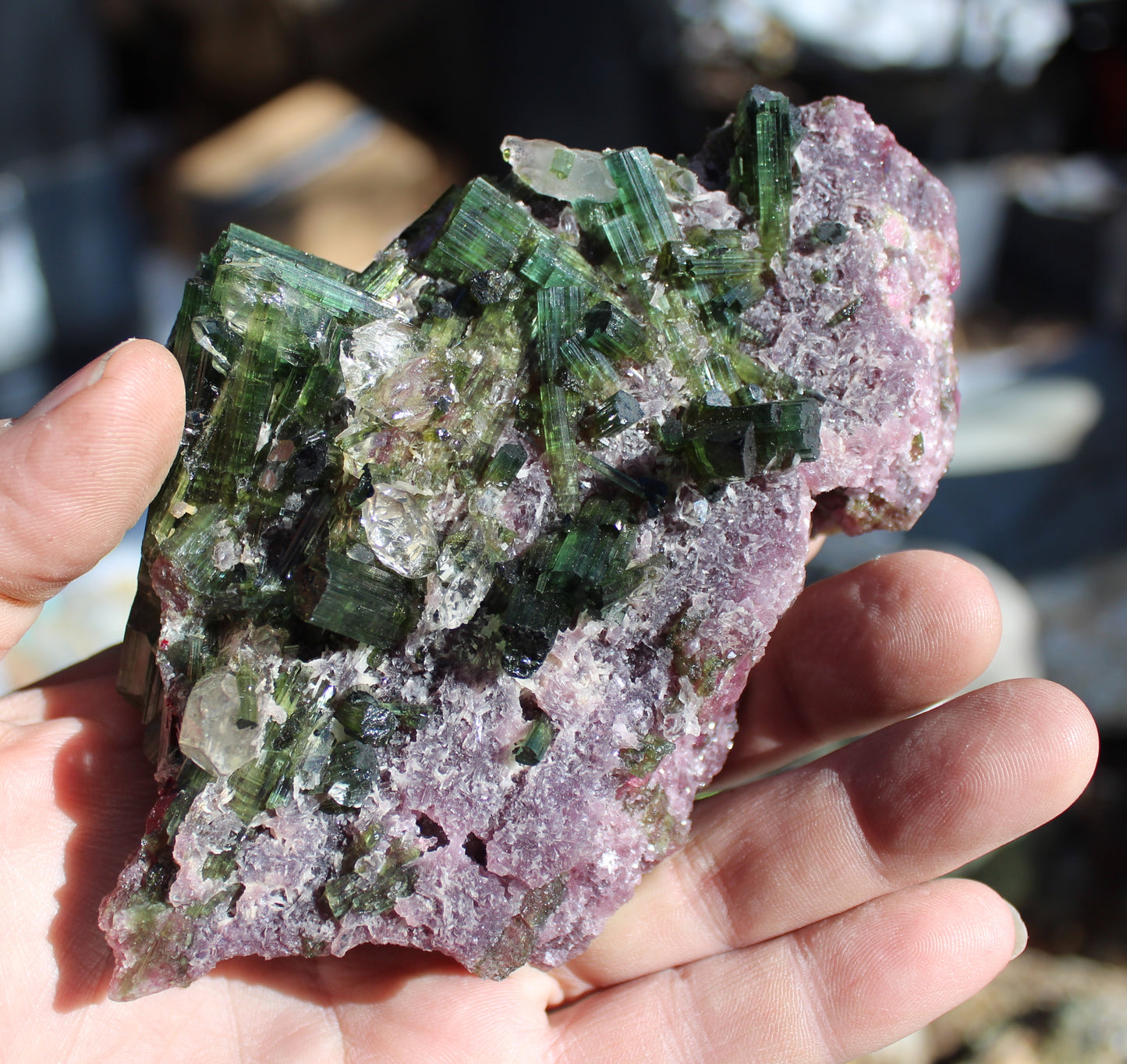 Watermelon Green Tourmaline with Quartz on Lepidolite with Metal Stand