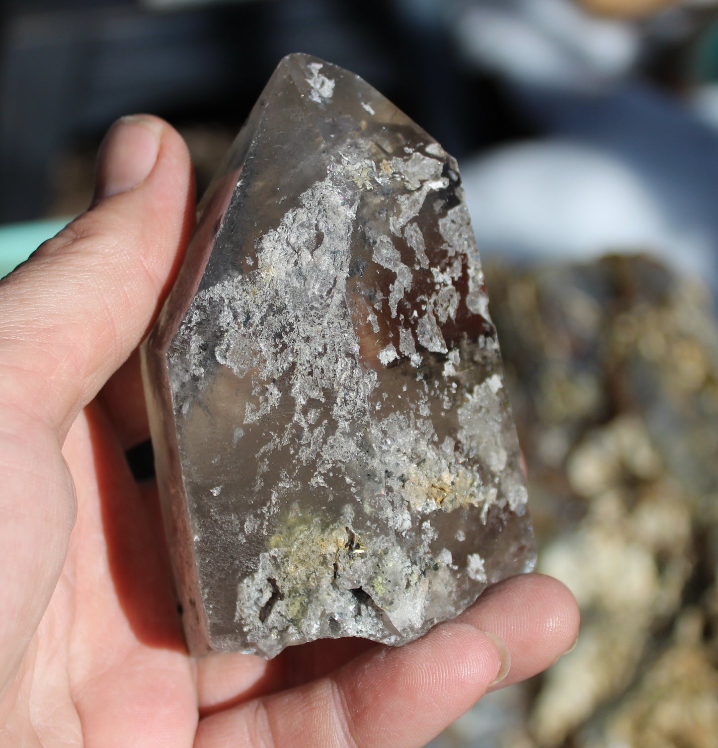 Lodolite Smoky Quartz Crystal with Chlorite