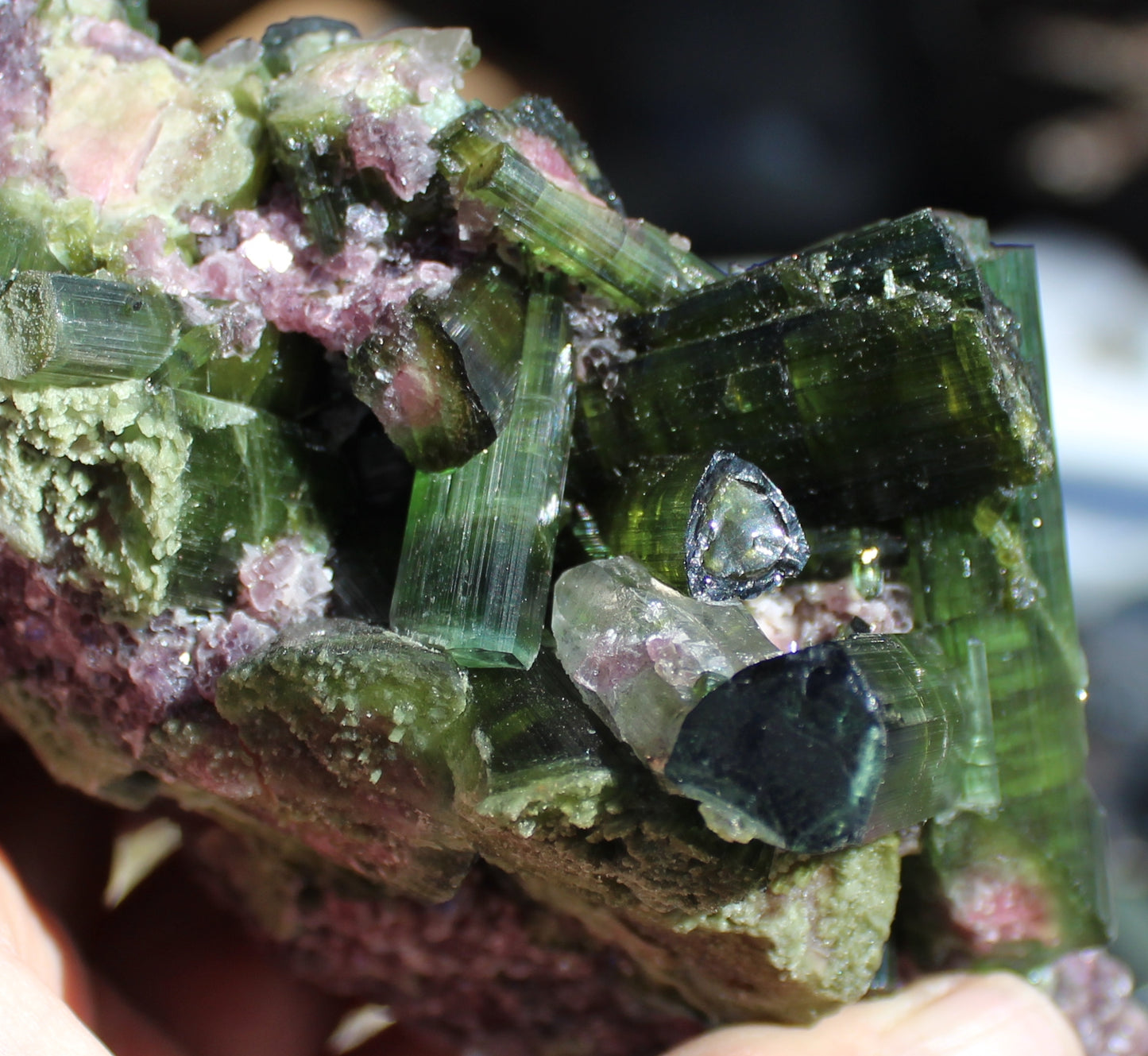Watermelon Green Tourmaline with Quartz on Lepidolite with Metal Stand
