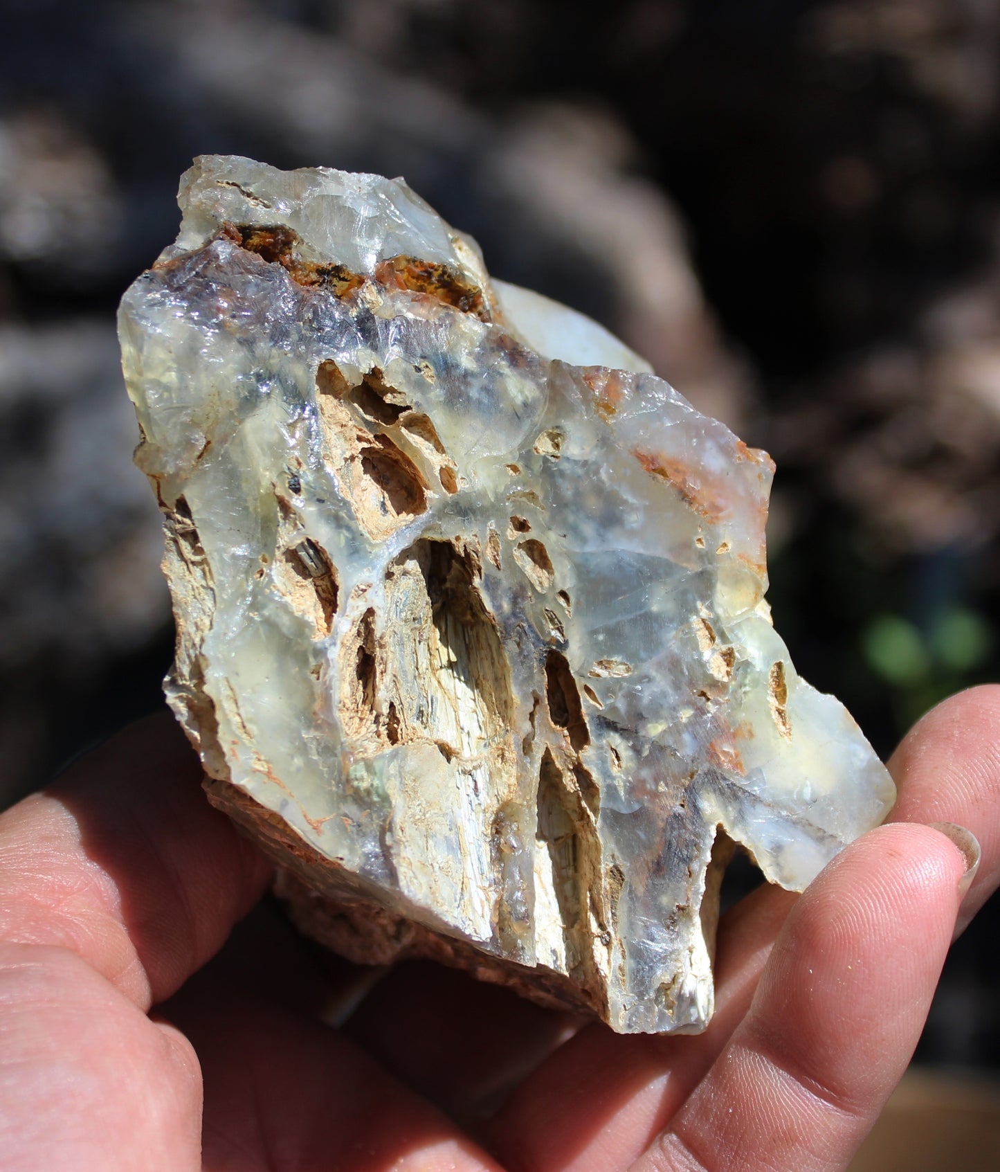 Mount Shasta Opal High Grade
