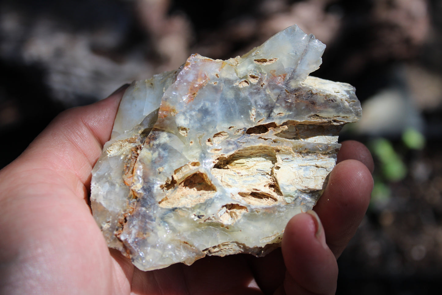 Mount Shasta Opal High Grade