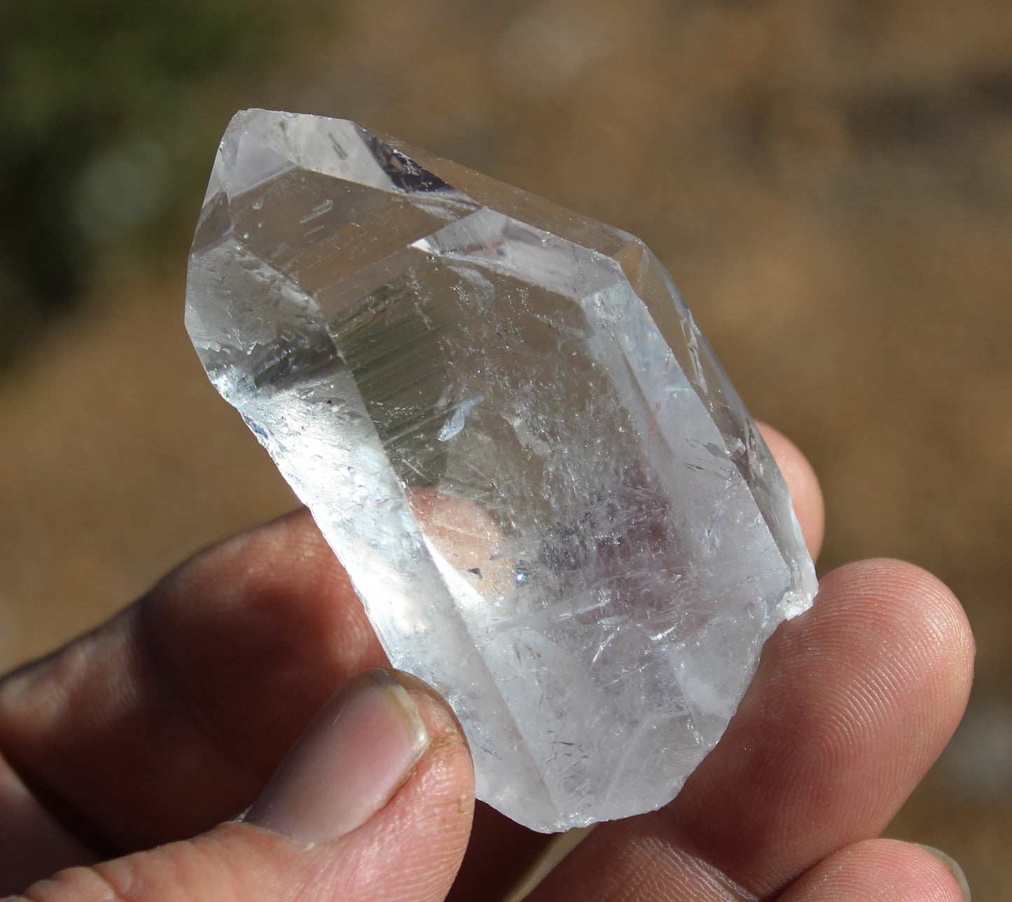 Lemurian Star Seed Crystal High Grade