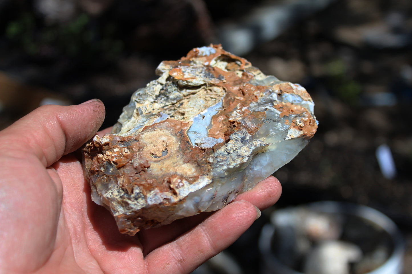 Mount Shasta Opal High Grade