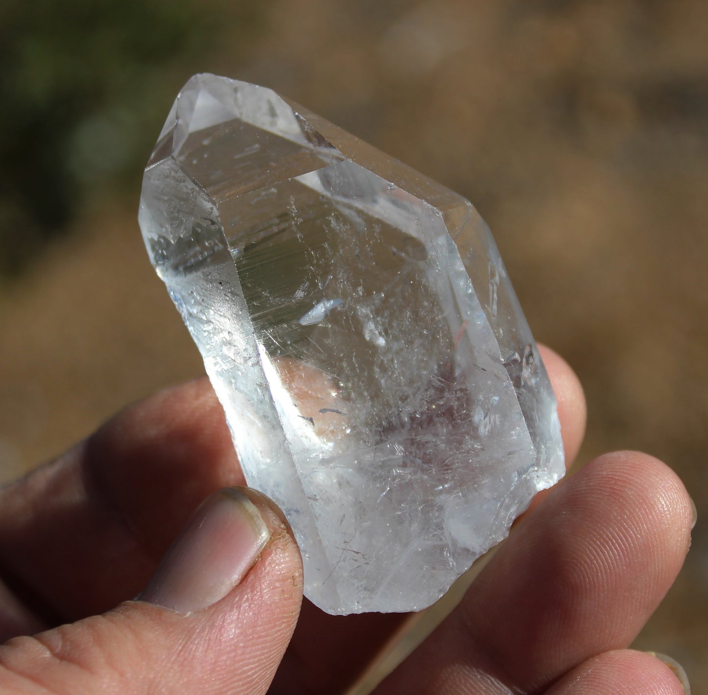 Lemurian Star Seed Crystal High Grade