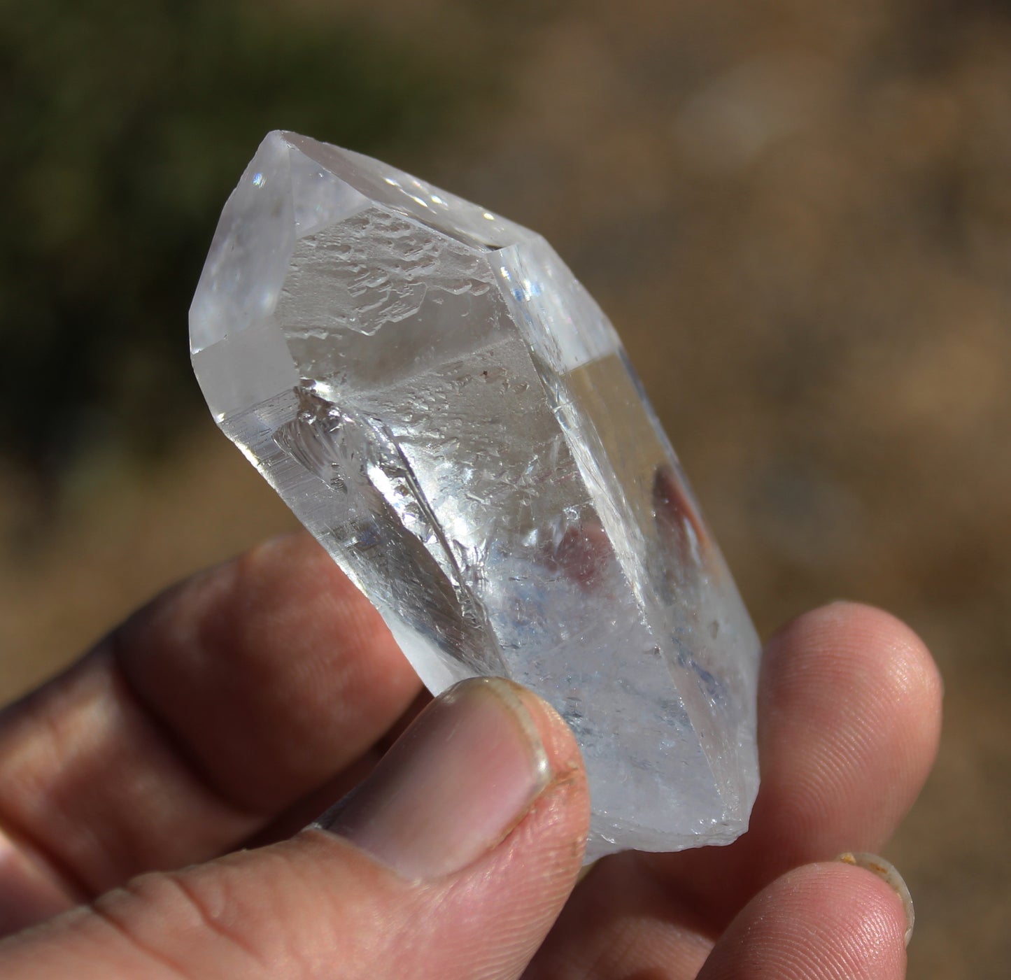 Lemurian Star Seed Crystal High Grade