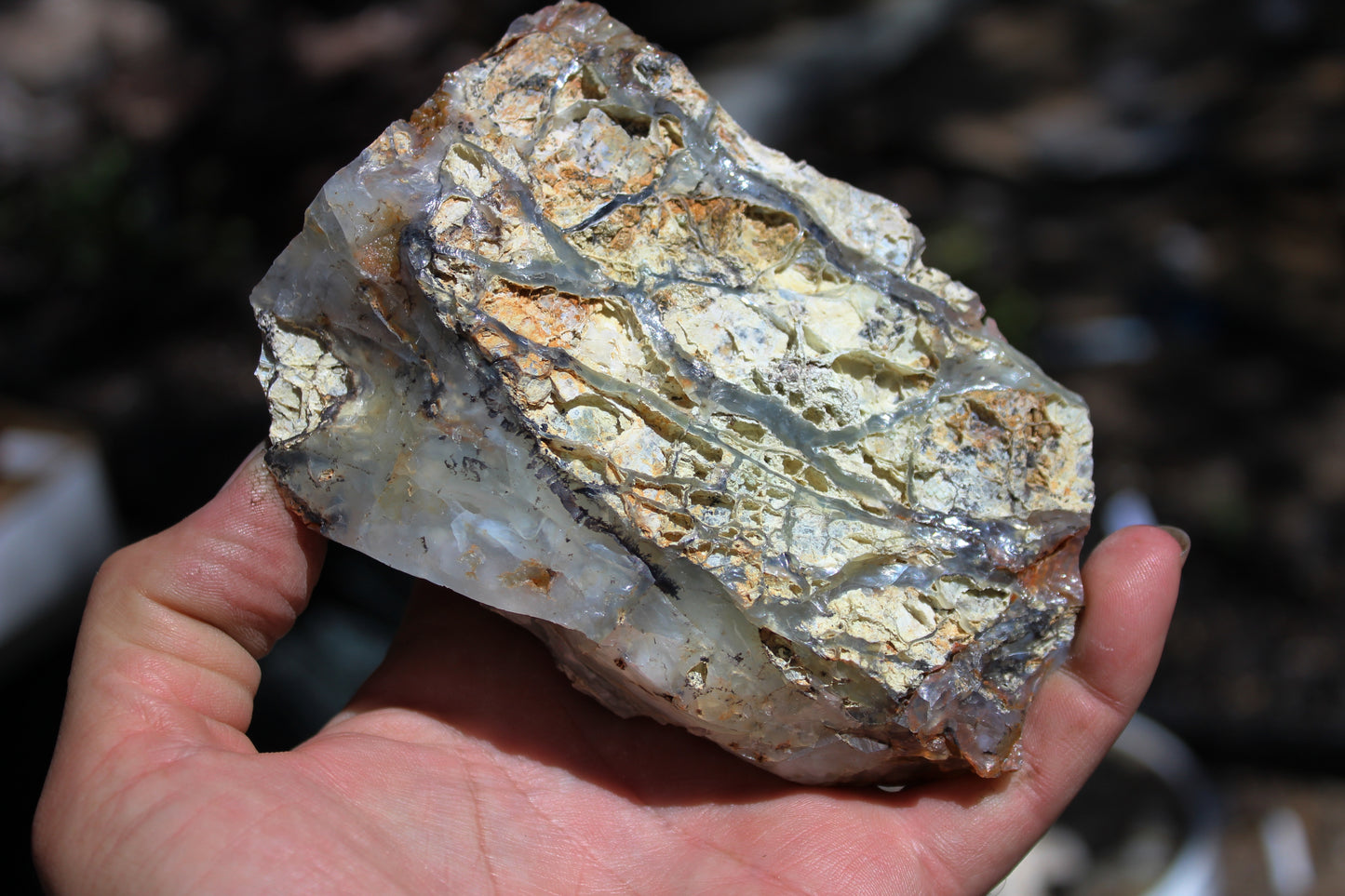Mount Shasta Opal High Grade