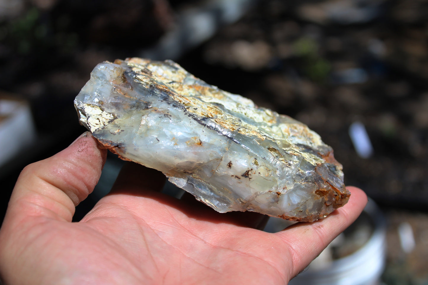 Mount Shasta Opal High Grade
