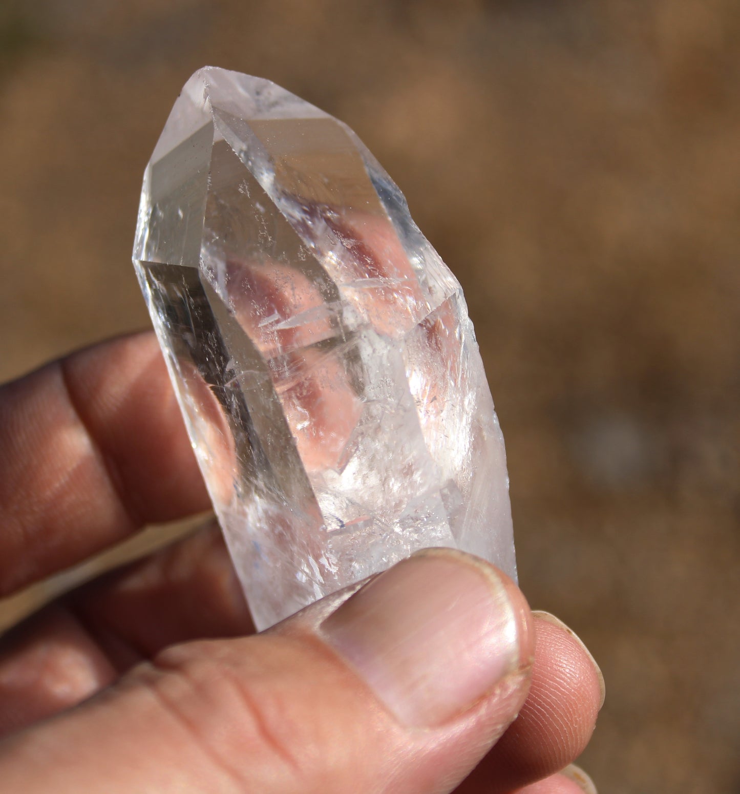 Lemurian Star Seed Crystal High Grade