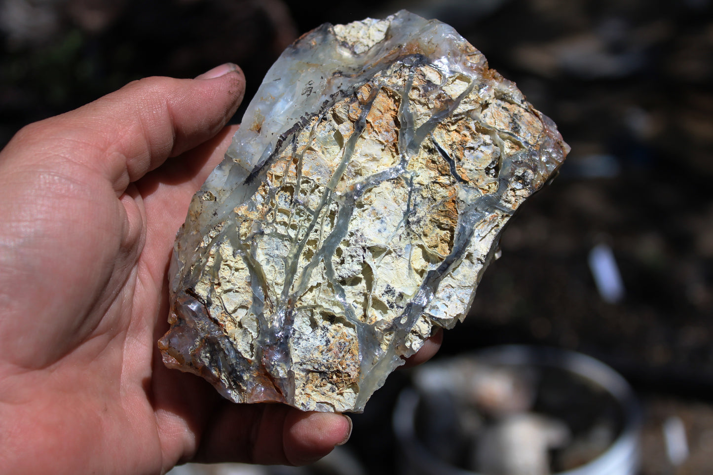 Mount Shasta Opal High Grade