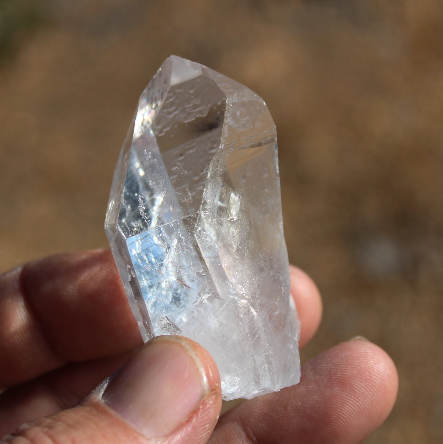 Lemurian Star Seed Crystal High Grade