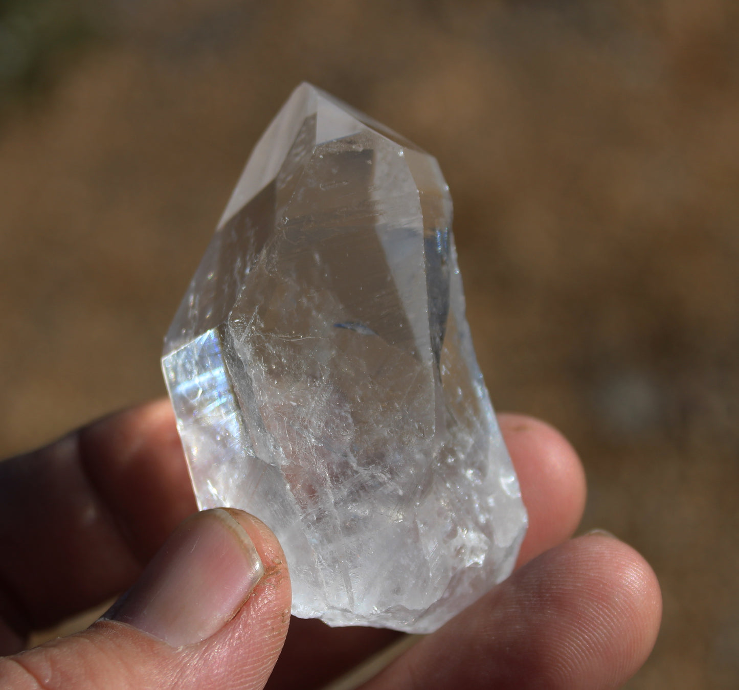 Lemurian Star Seed Crystal High Grade