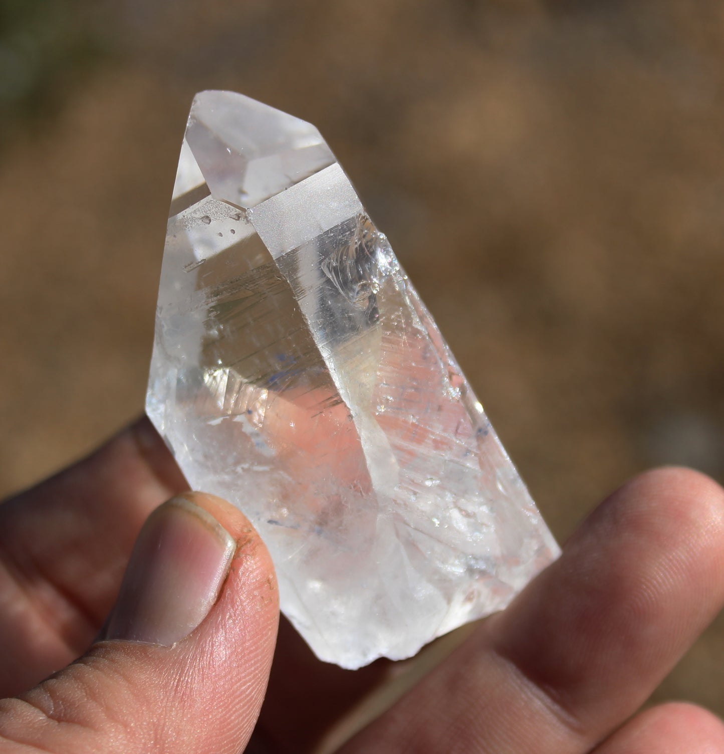 Lemurian Star Seed Crystal High Grade
