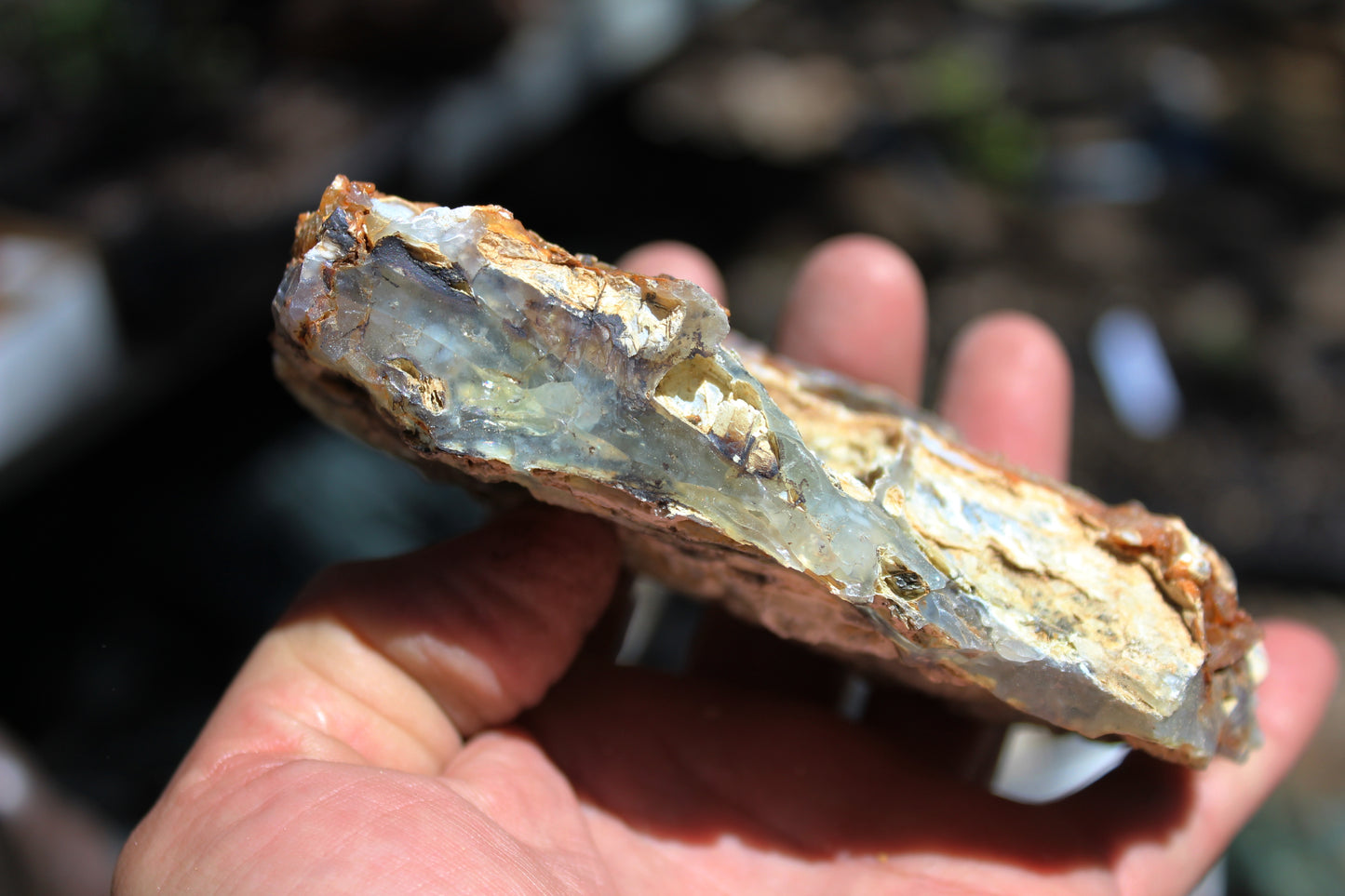 Mount Shasta Opal High Grade