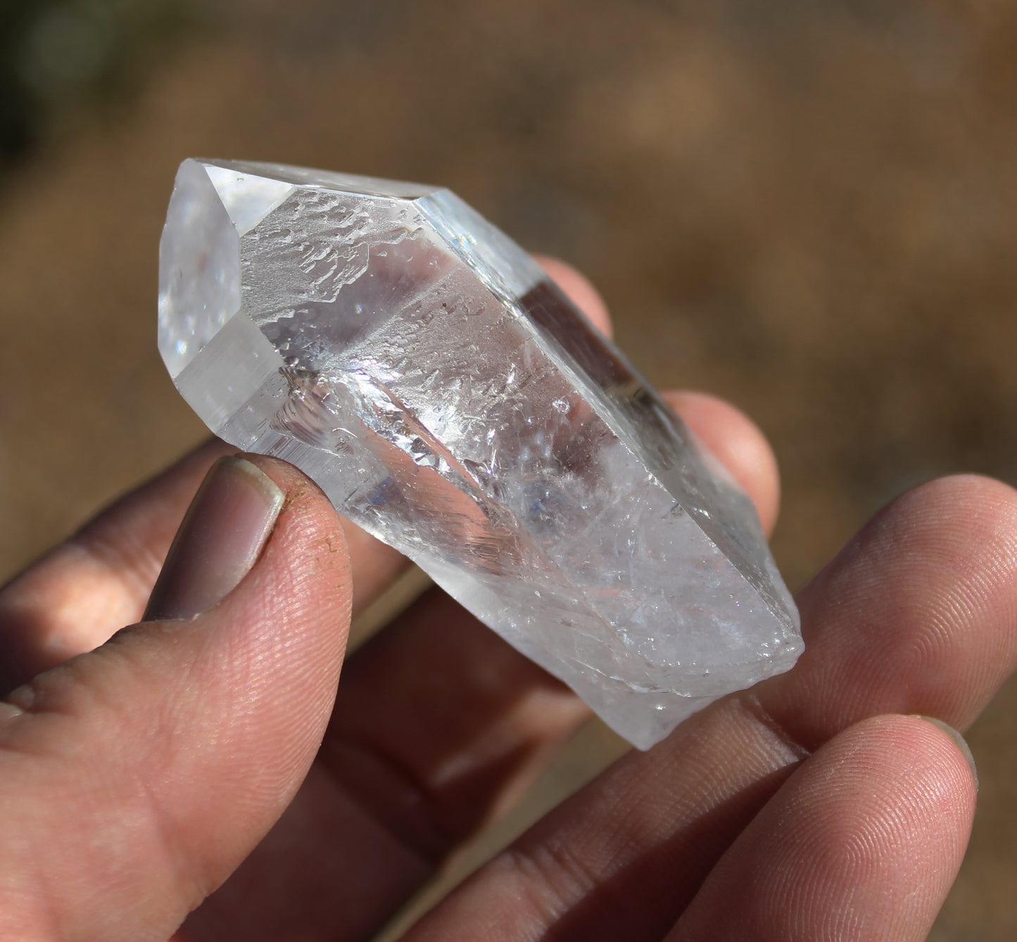 Lemurian Star Seed Crystal High Grade
