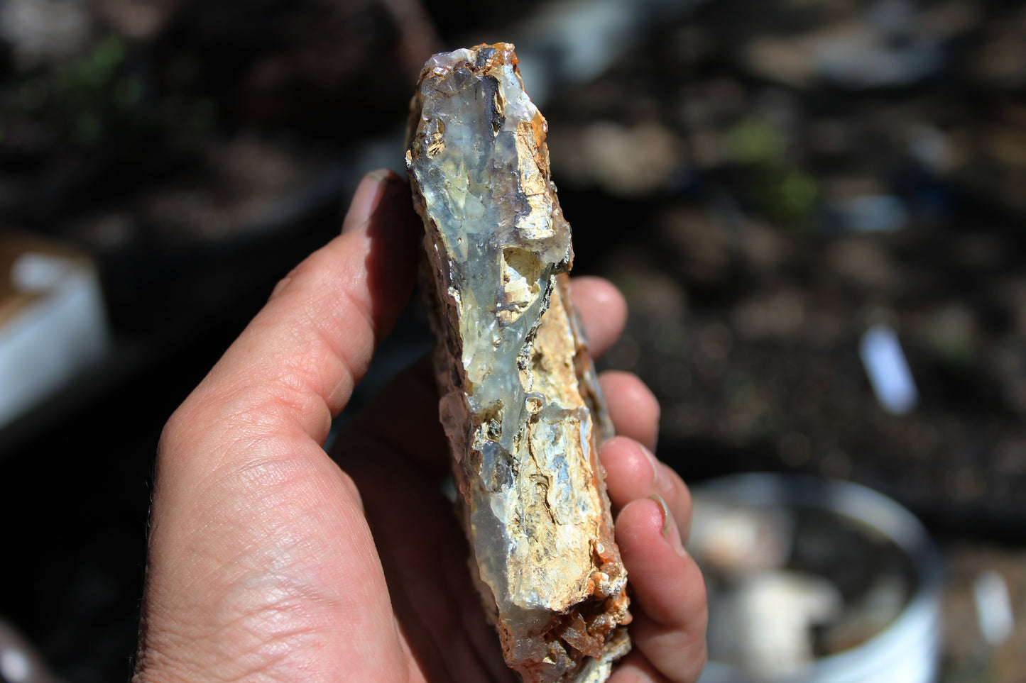 Mount Shasta Opal High Grade