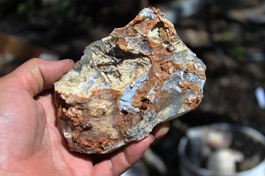 Mount Shasta Opal High Grade