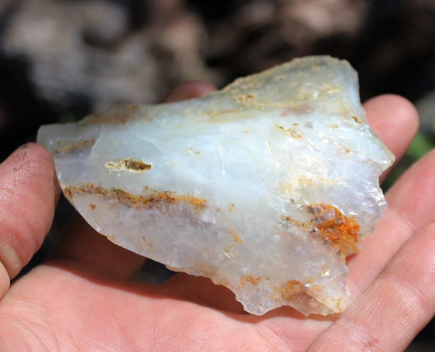 Mount Shasta Opal High Grade