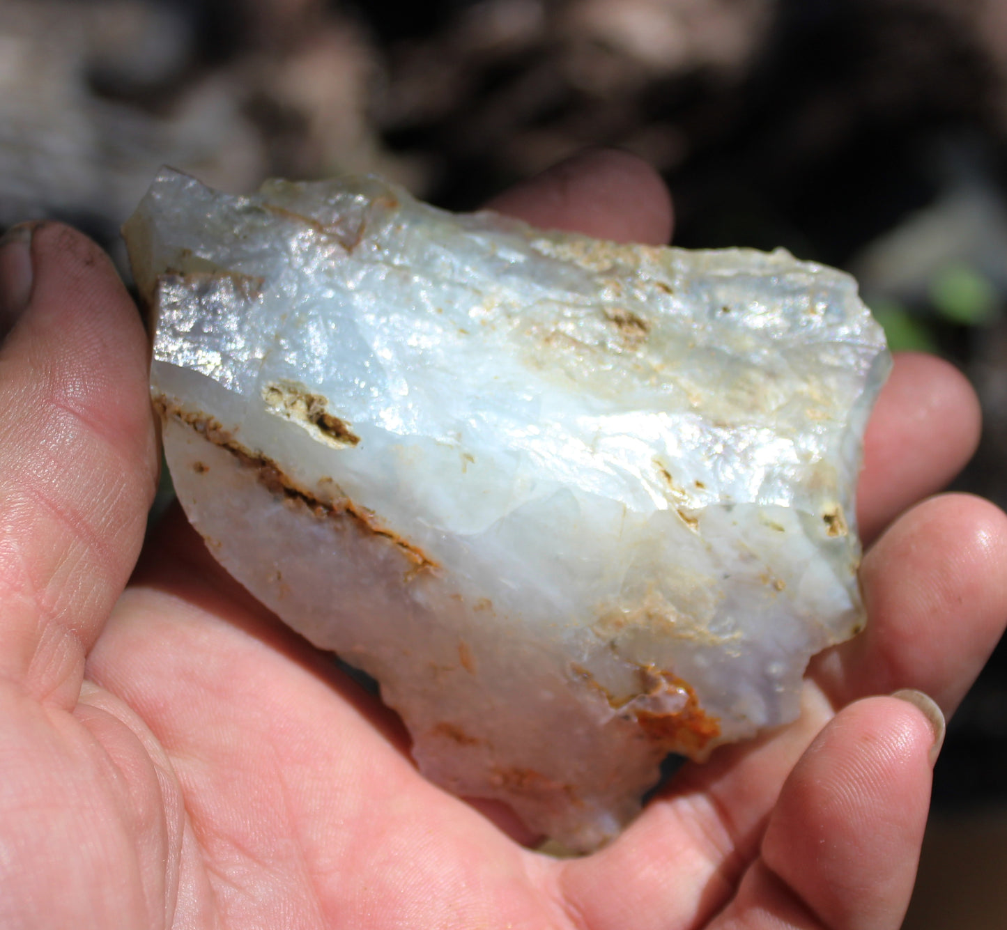 Mount Shasta Opal High Grade