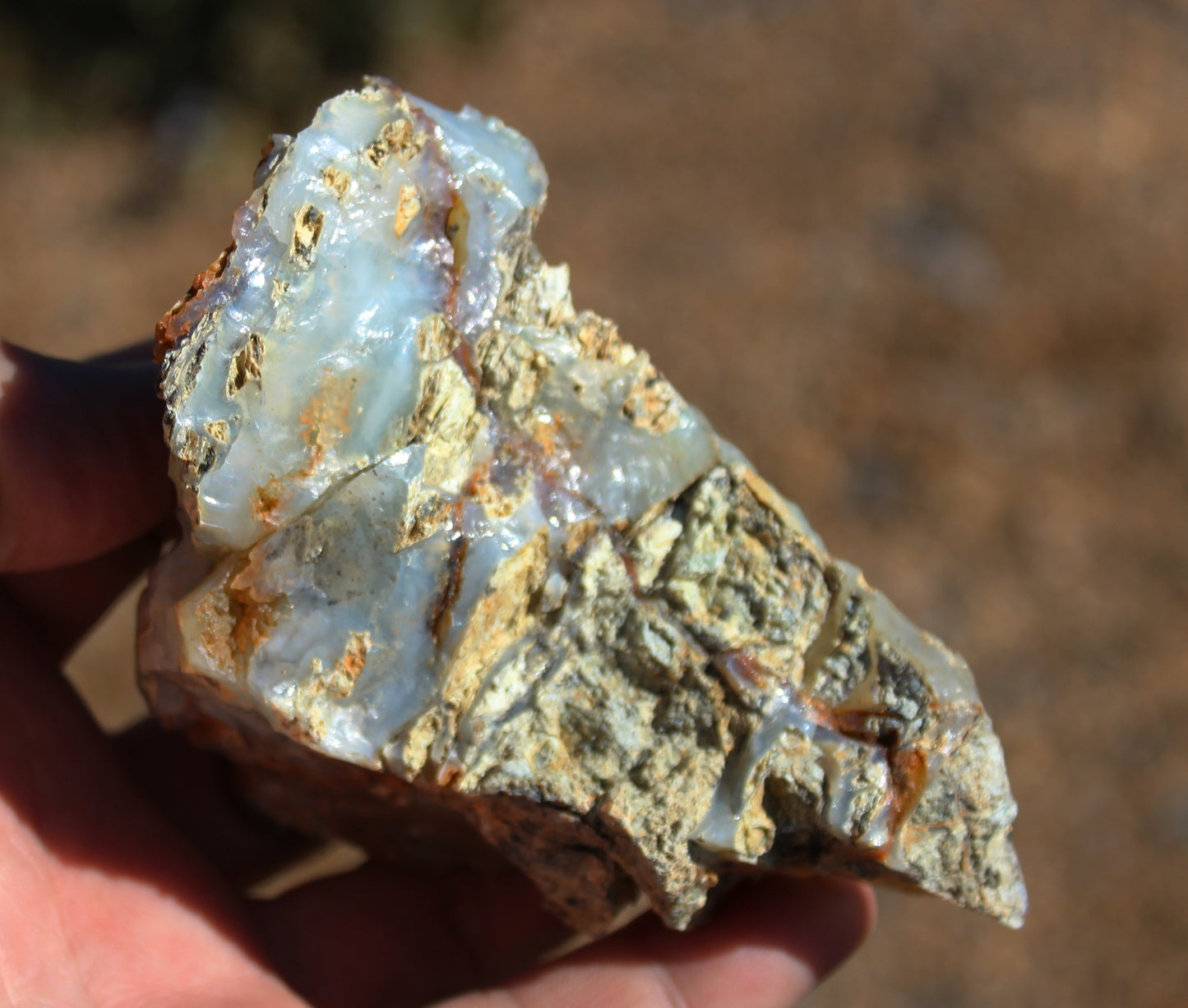 Mount Shasta Opal High Grade Specimen