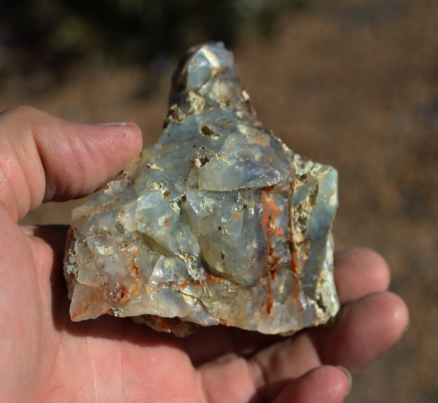 Mount Shasta Opal High Grade Specimen