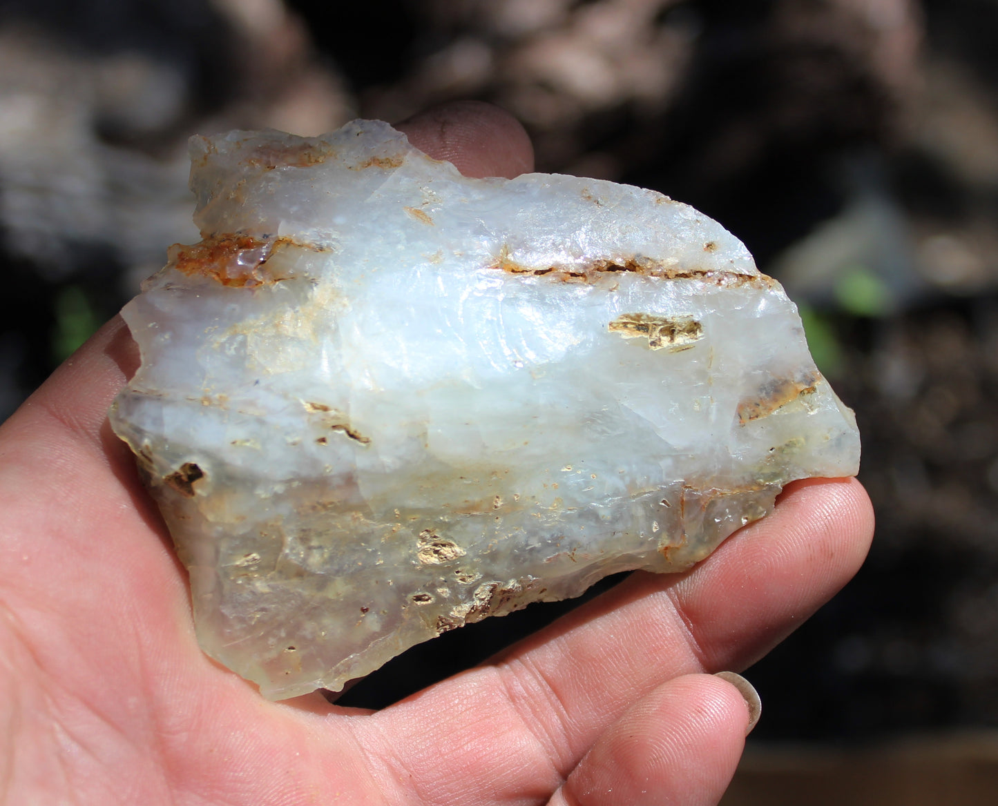 Mount Shasta Opal High Grade