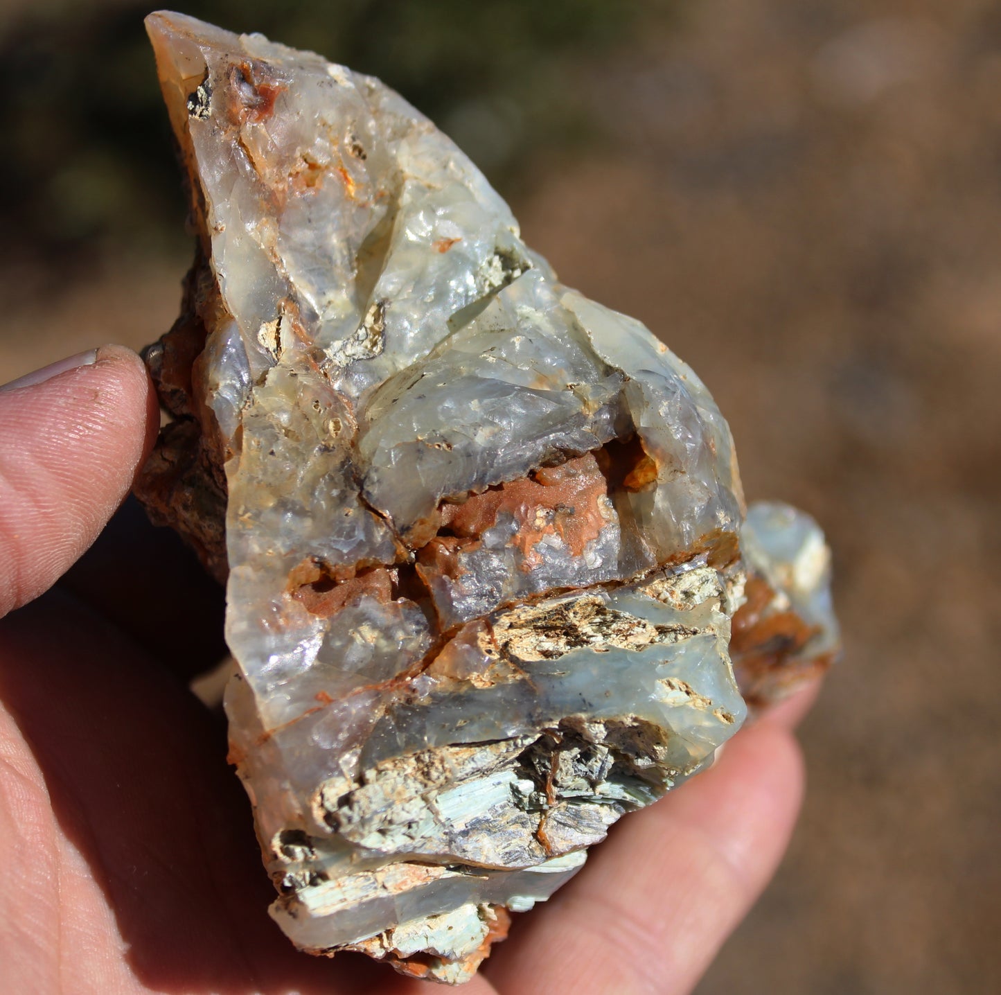 Mount Shasta Opal High Grade Specimen