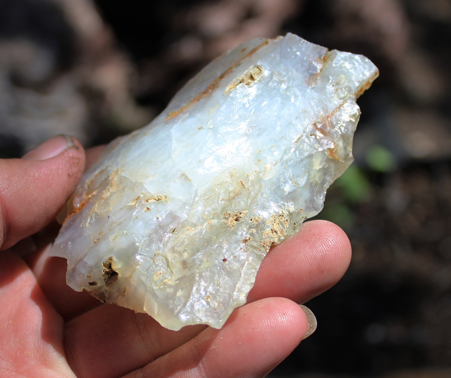 Mount Shasta Opal High Grade